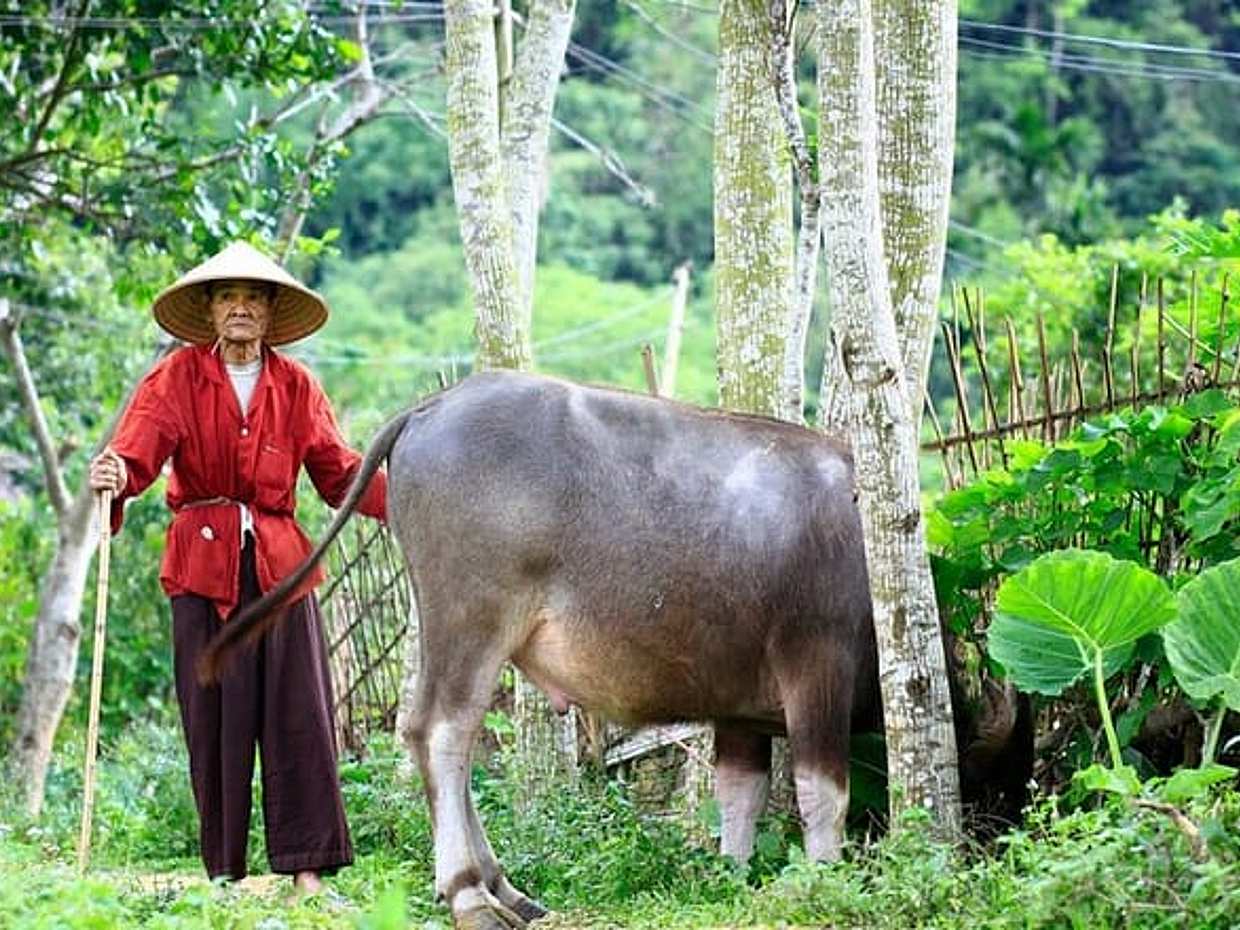 Pu Luong & Ninh Binh 3 Days Group Tour from Hanoi Old Quarter