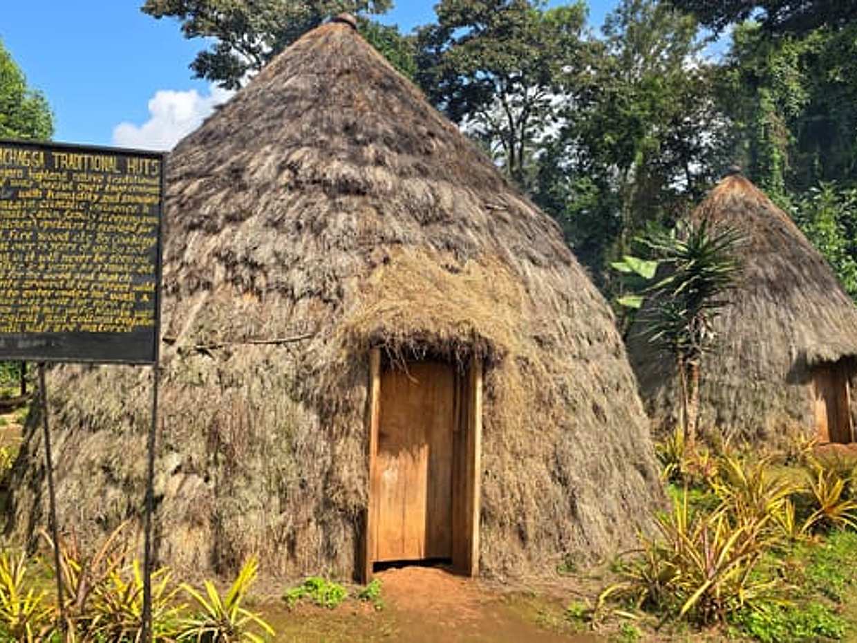 Kilimanjaro: Marangu Day Trip | Waterfalls | Coffee Tour & Chagga Culture, Tanzania, photo 2