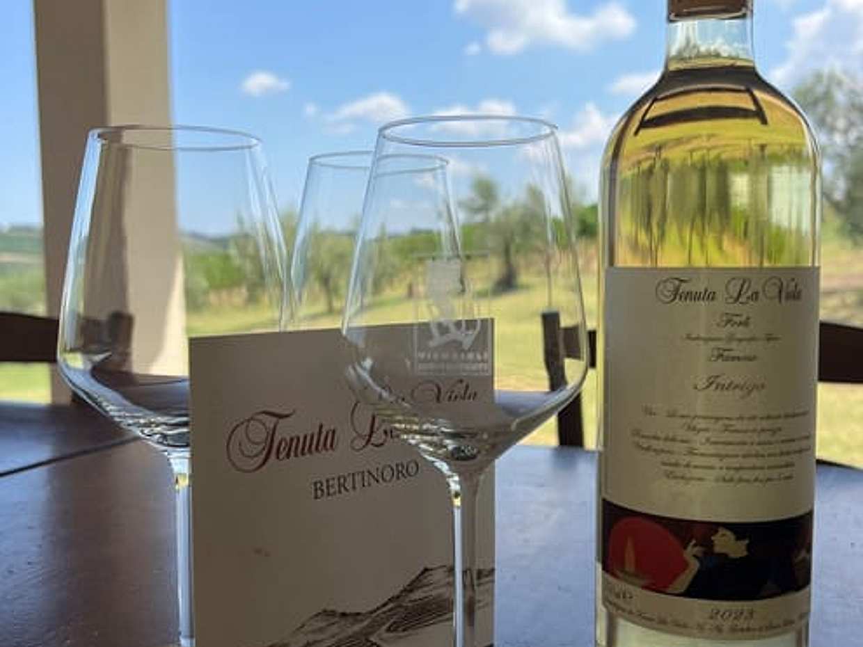 Discover Italian Wines: Exclusive tasting of 3 glasses of wine and olive oil at Tenuta La Viola