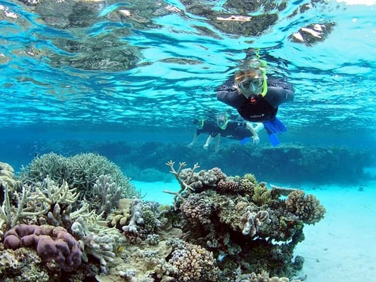 Top Attractions In Sharm El Sheikh In Full Day Tour From Cairo, photo 2