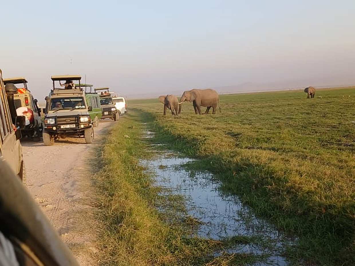 Amboseli day trip tour, Kenya, photo 2