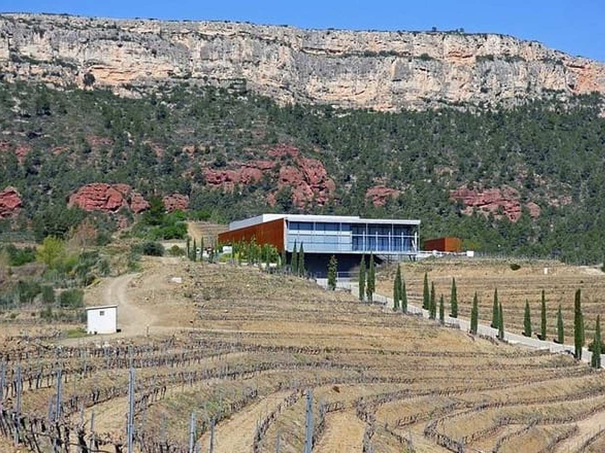 Priorat, Wines & History - Small group and hotel pick up from Barcelona, photo 4