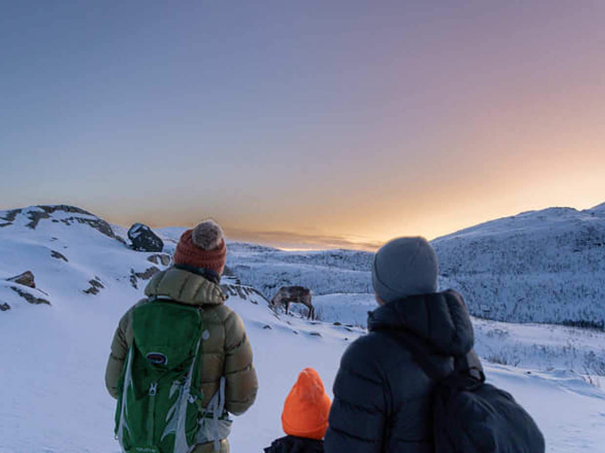 Tromsø: Snowshoe Hike with Local Guides, photo 2