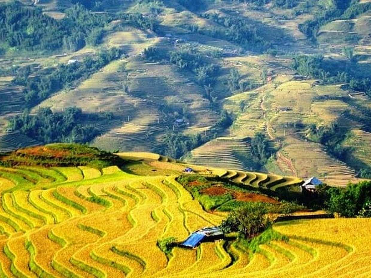 1 Day Sapa Tour Explore Y Linh Ho And Lao Chai And Ta Van Village, Vietnam, photo 5