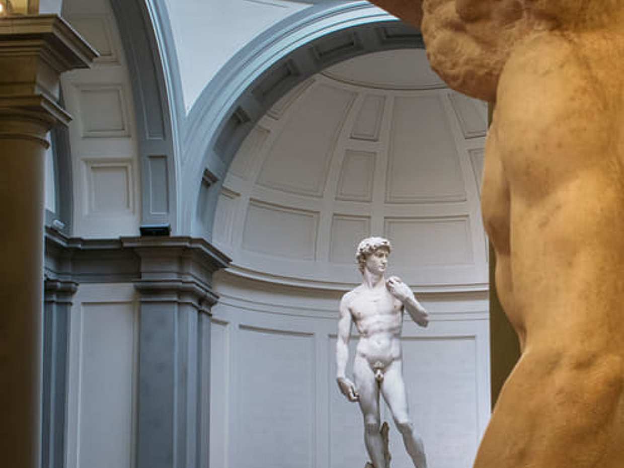 Florence: David, Pitti Palace, & Gardens Combination Tickets