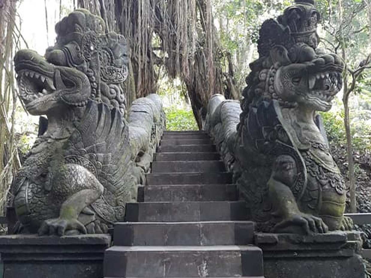 Full Day Private Tour in Ubud, photo 4