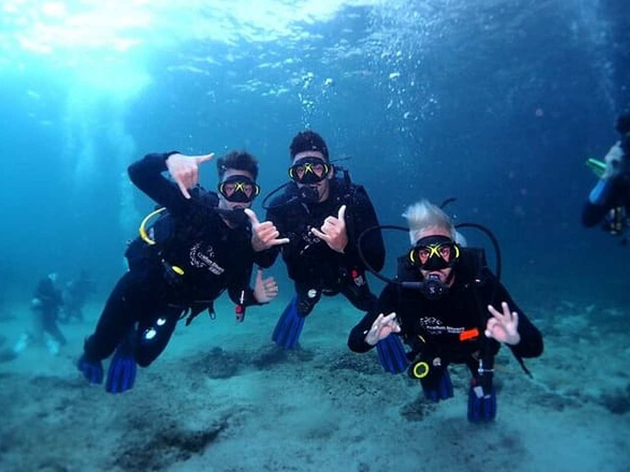 Essayez la plongée sous-marine et la plongée avec tuba à Fujairah avec transfert., photo 5