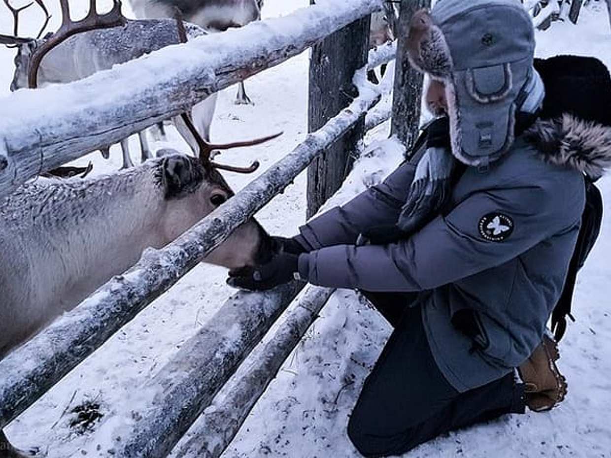 1 Hour Reindeer Safari & a Farm Visit, photo 3
