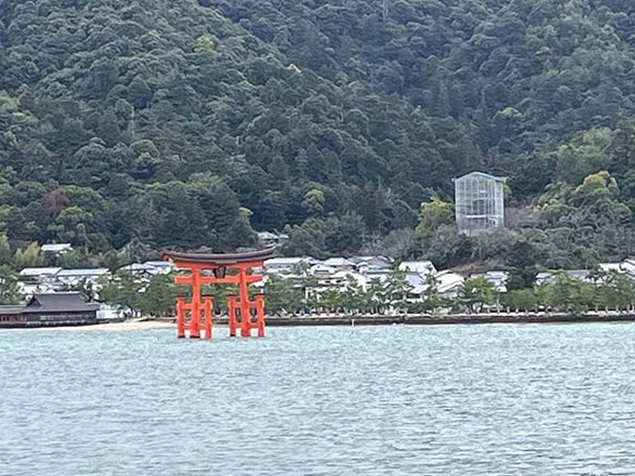"Tour Privado Guiado a Miyajima saindo de Osaka ou Quioto no Japão", photo 3