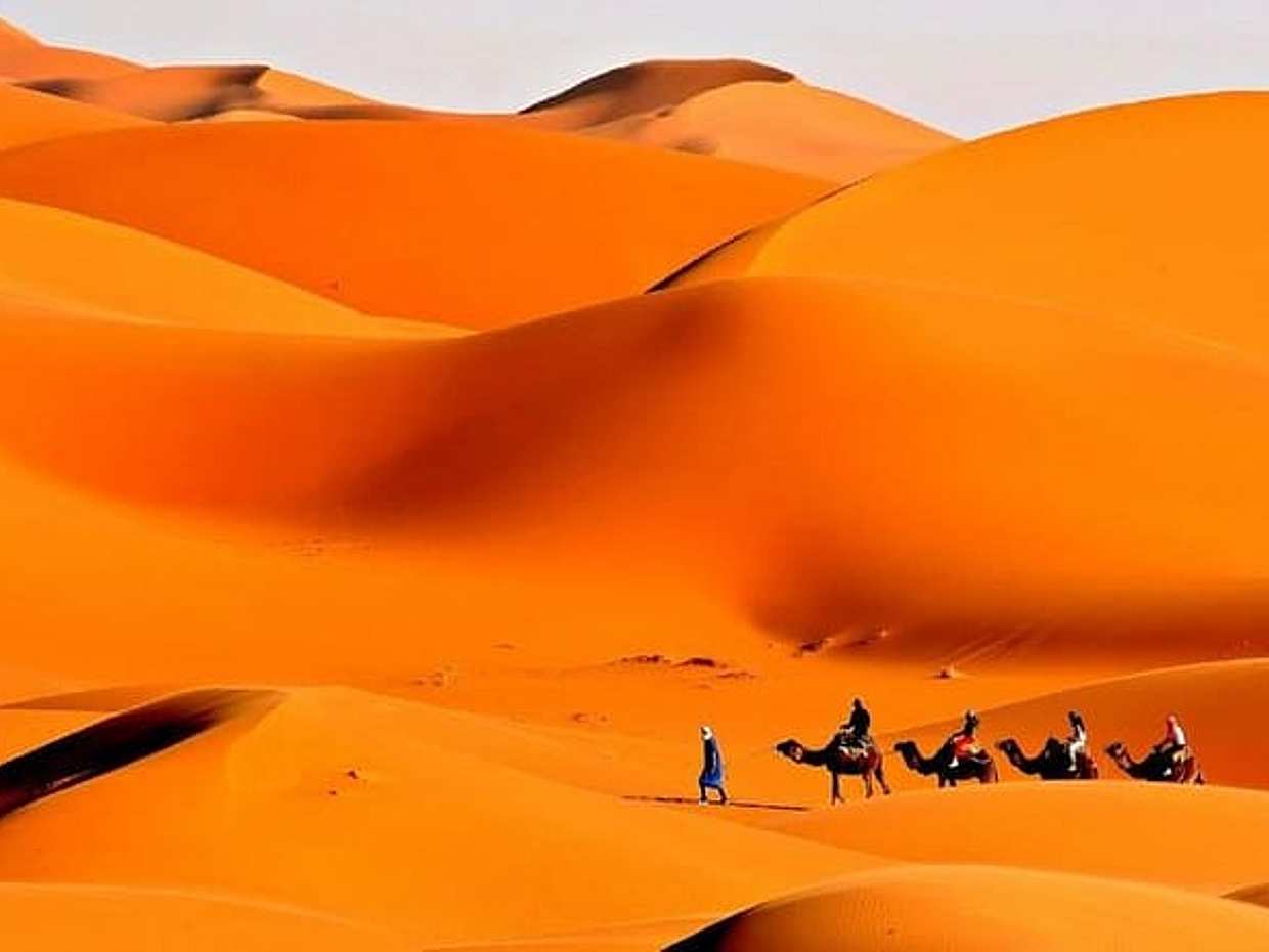Sahara Group Tour 3-Days from Marrakech to Merzouga and Fes, photo 5