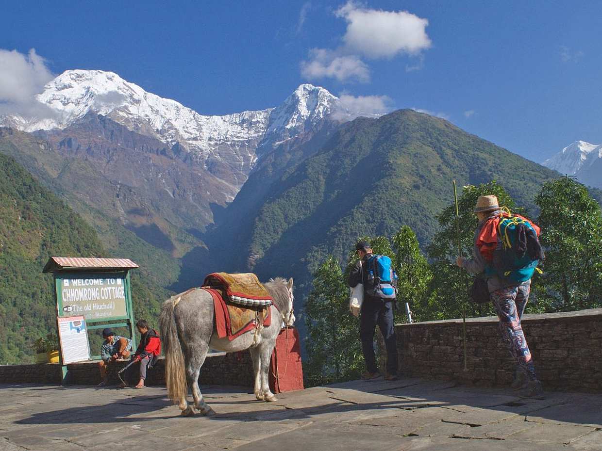 Tour de 12 dias desde Kathmandu: Trekking do Acampamento Base do Annapurna, Nepal
, photo 5