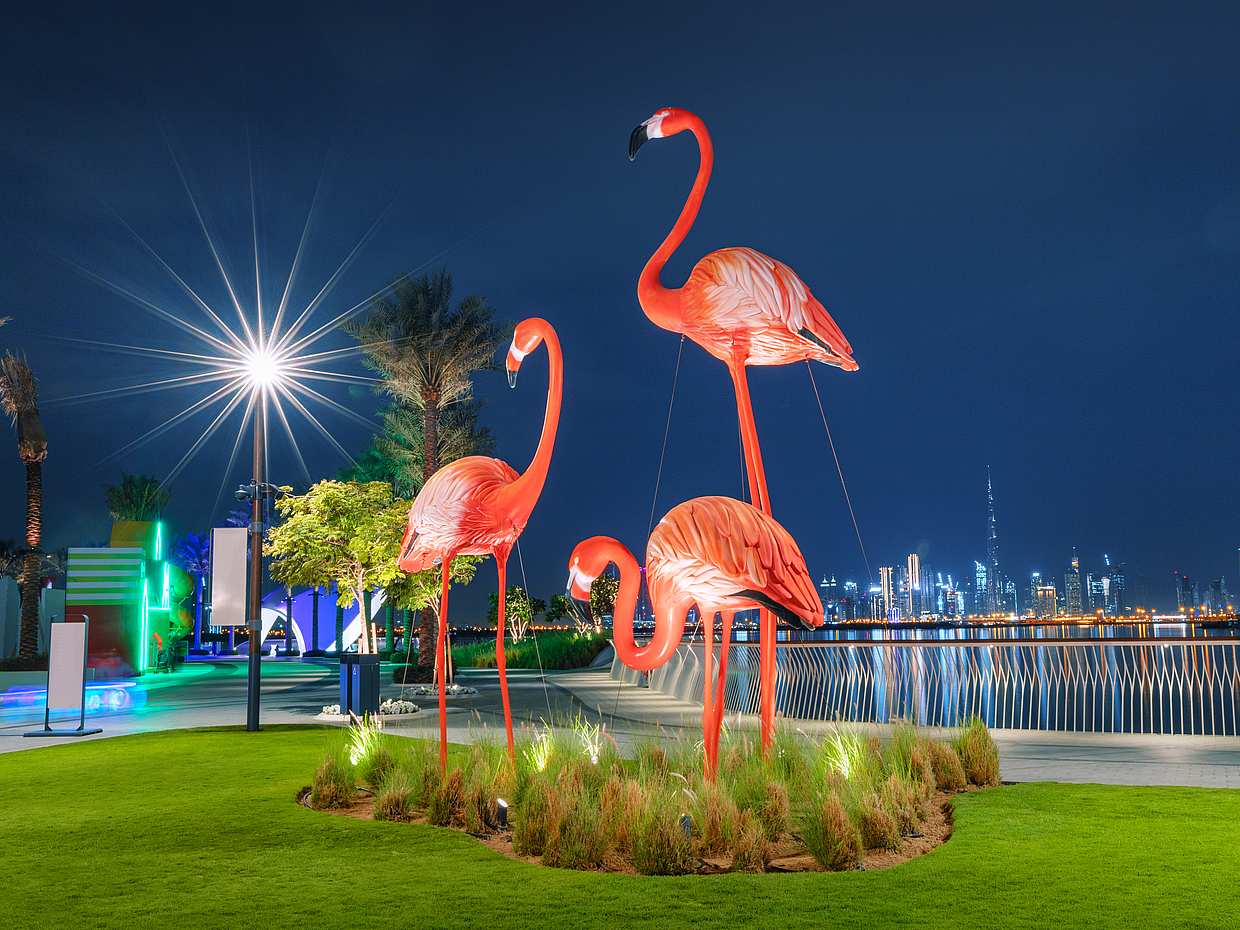 Dukhan and Zekreet Tour in Qatar, Doha, photo 4