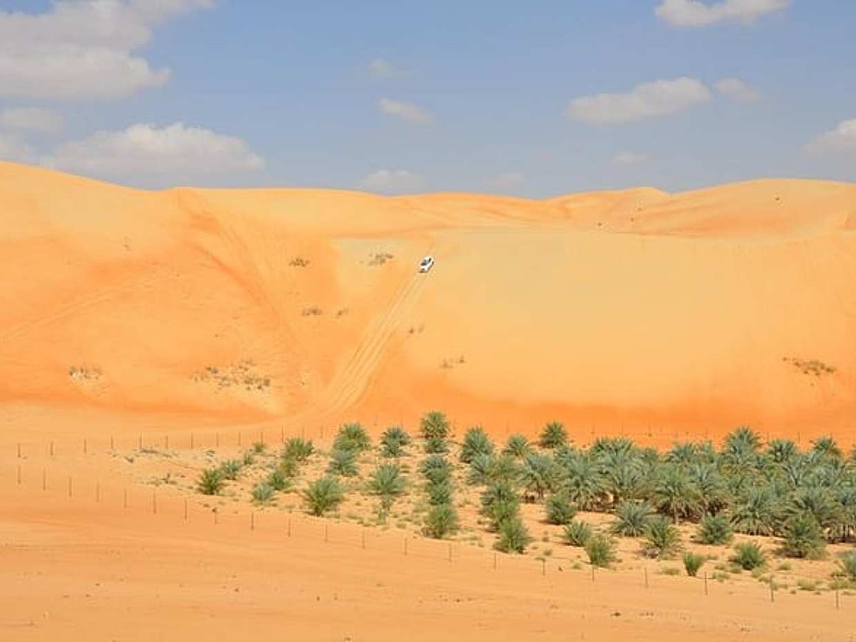 Liwa Full Day Desert Safari (exploring), photo 2