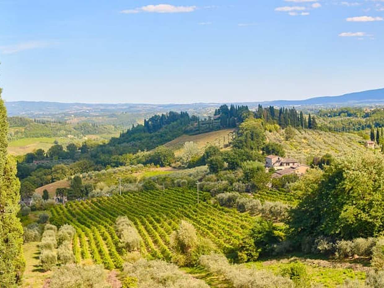San Gimignano & Chianti Dream Escape Half day private tour, photo 2