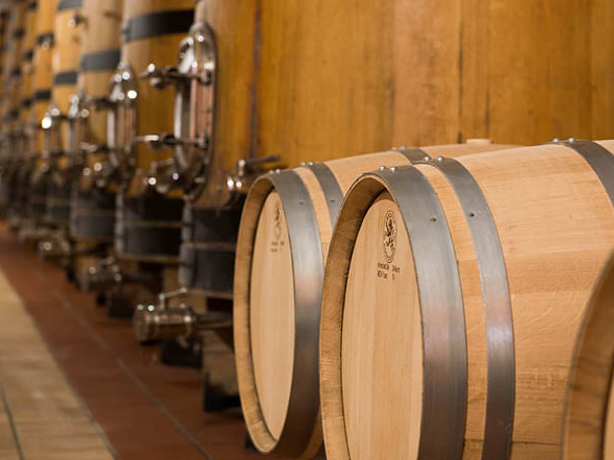 Wine Tour and Tasting on Garda Hills, photo 5
