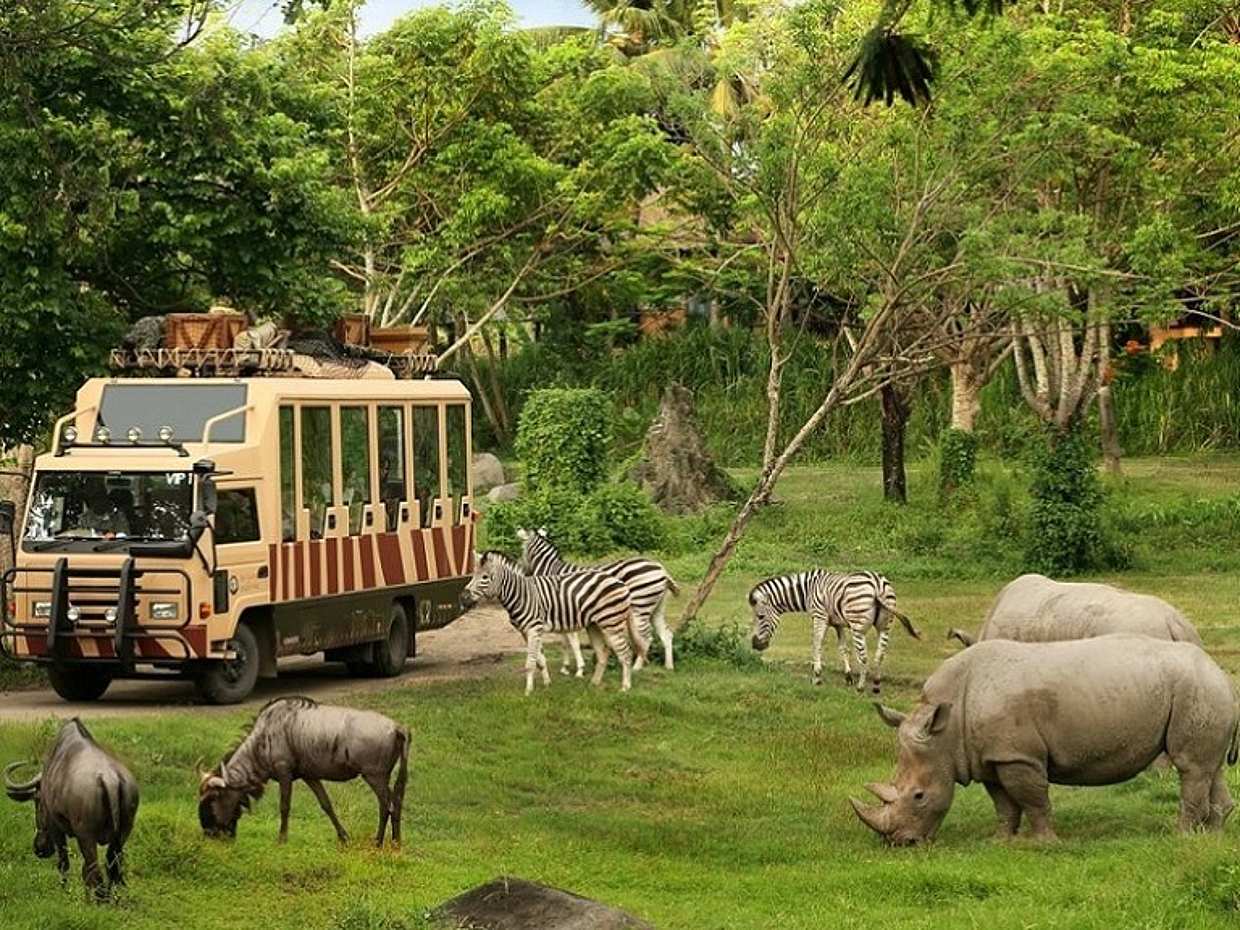 Bangkok: Prohlídka Safari World s lístkem do Safari a Marine Parku, obědem a transferem v Thajsku
