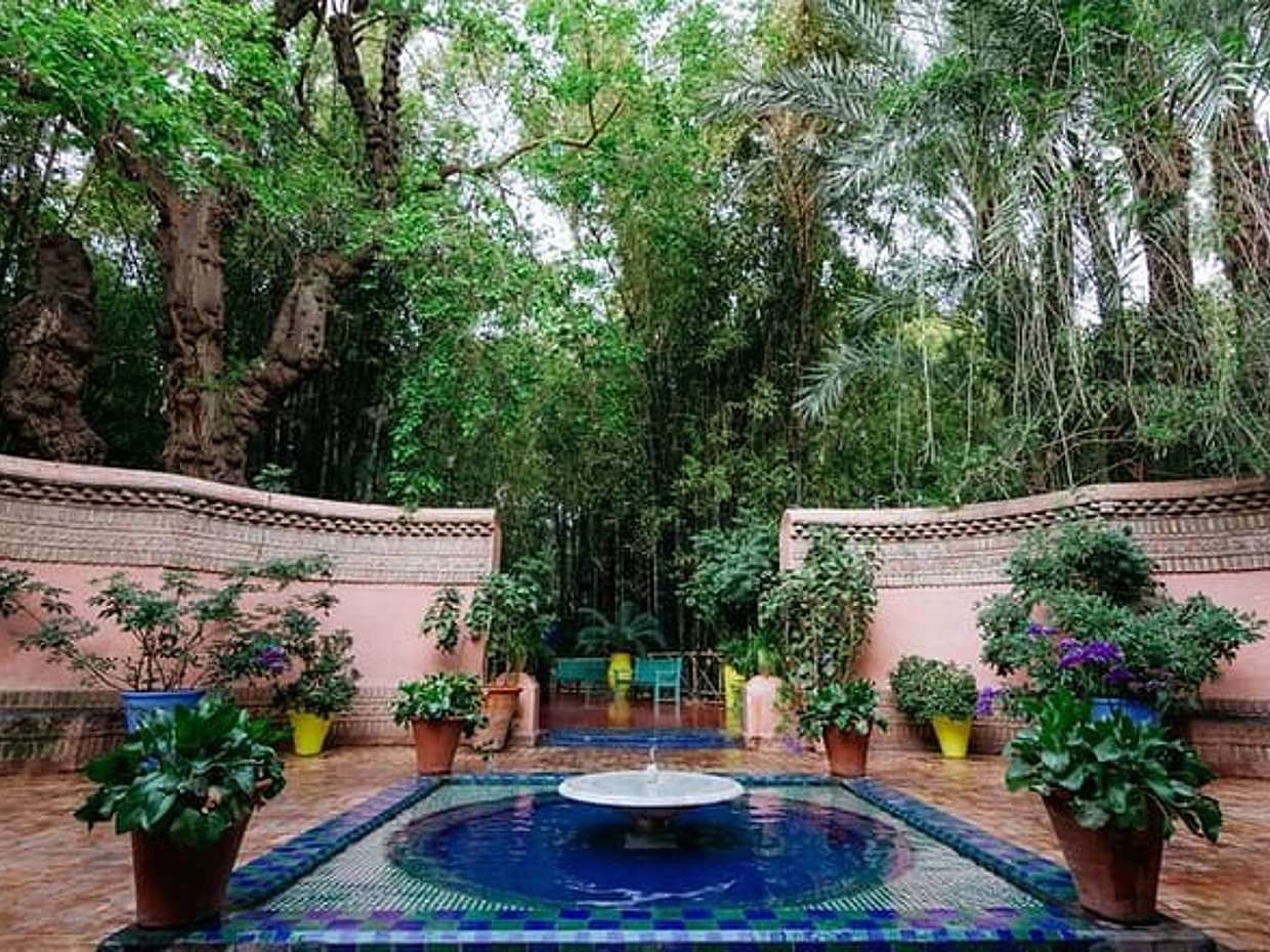 Majical Majorelle Garden and Camel Ride in Palmeraie of Marrakech