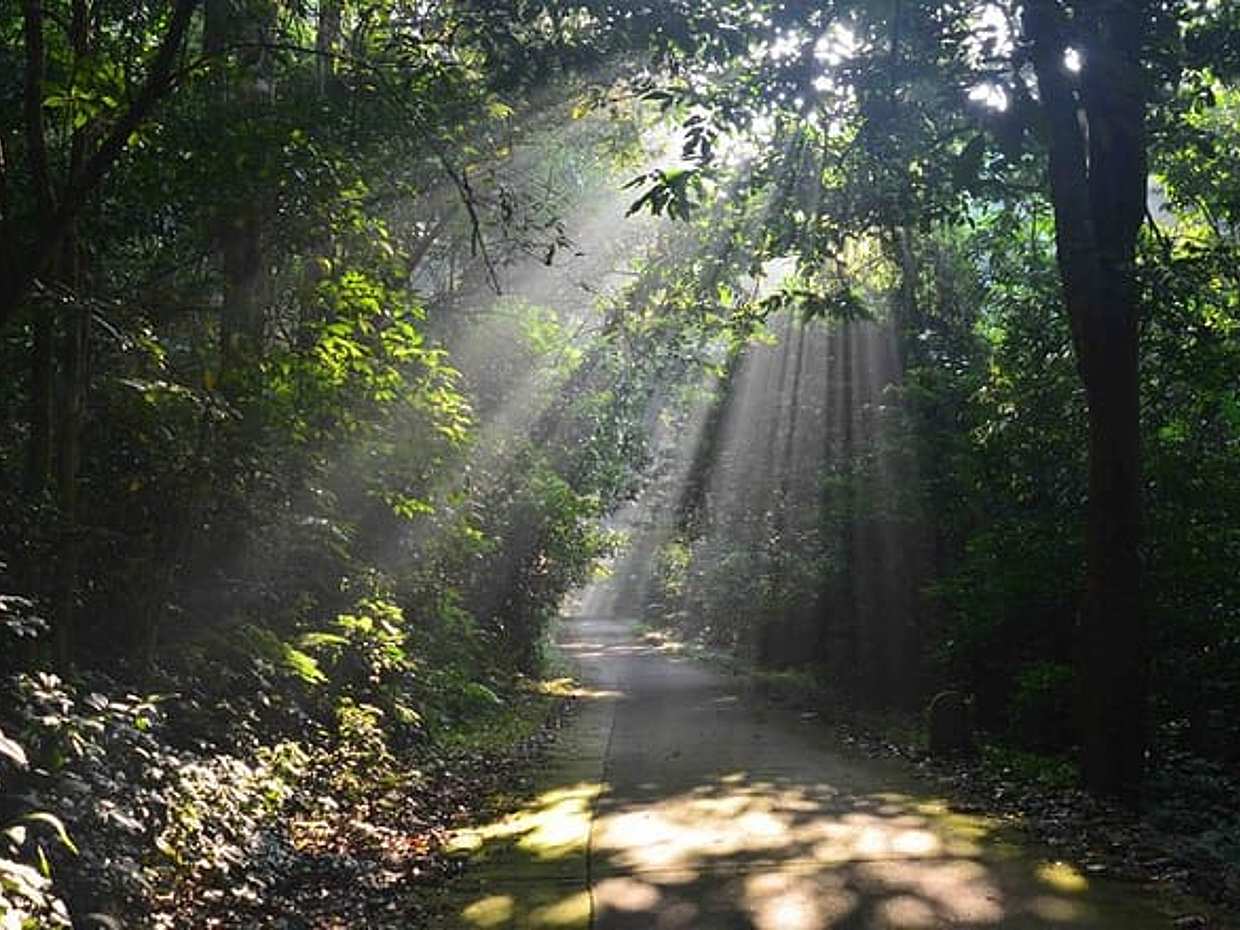 De Ninh Binh al Parque Nacional Cuc Phuong, Trekking y Selva en Vietnam, photo 5