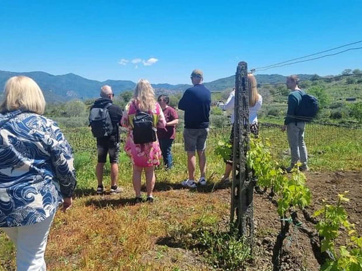 Castiglione, wine & ricotta tasting with Alcantara Gorges, photo 4