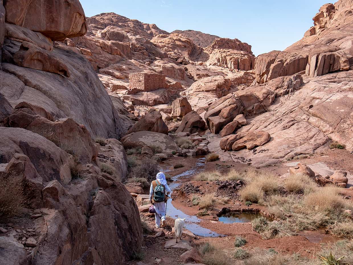 Mount Sinai Climb and St. Catherine Monastery Tour, photo 2