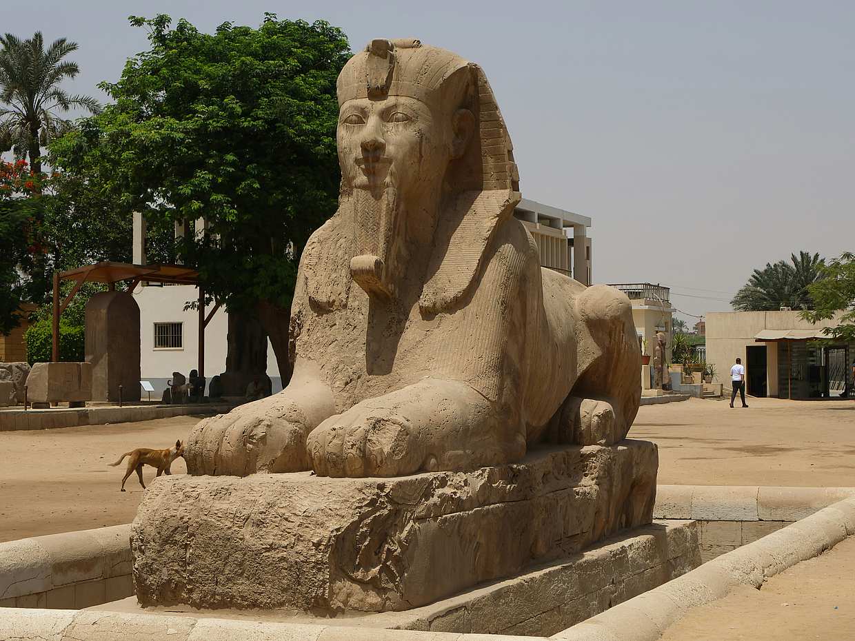 Discover Giza Pyramids, Saqqara and Memphis, photo 2
