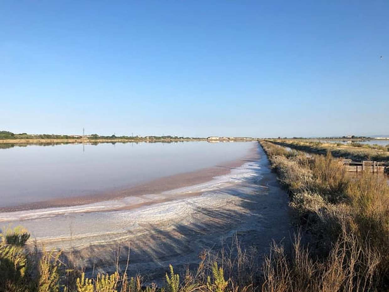 Cervia: Bike tour to the Salt Mountains, photo 3