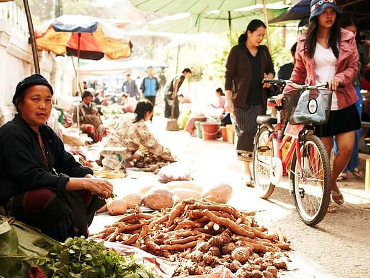 Hanoi Cooking Class with Local Market & Guide (3,5 Hours), photo 5