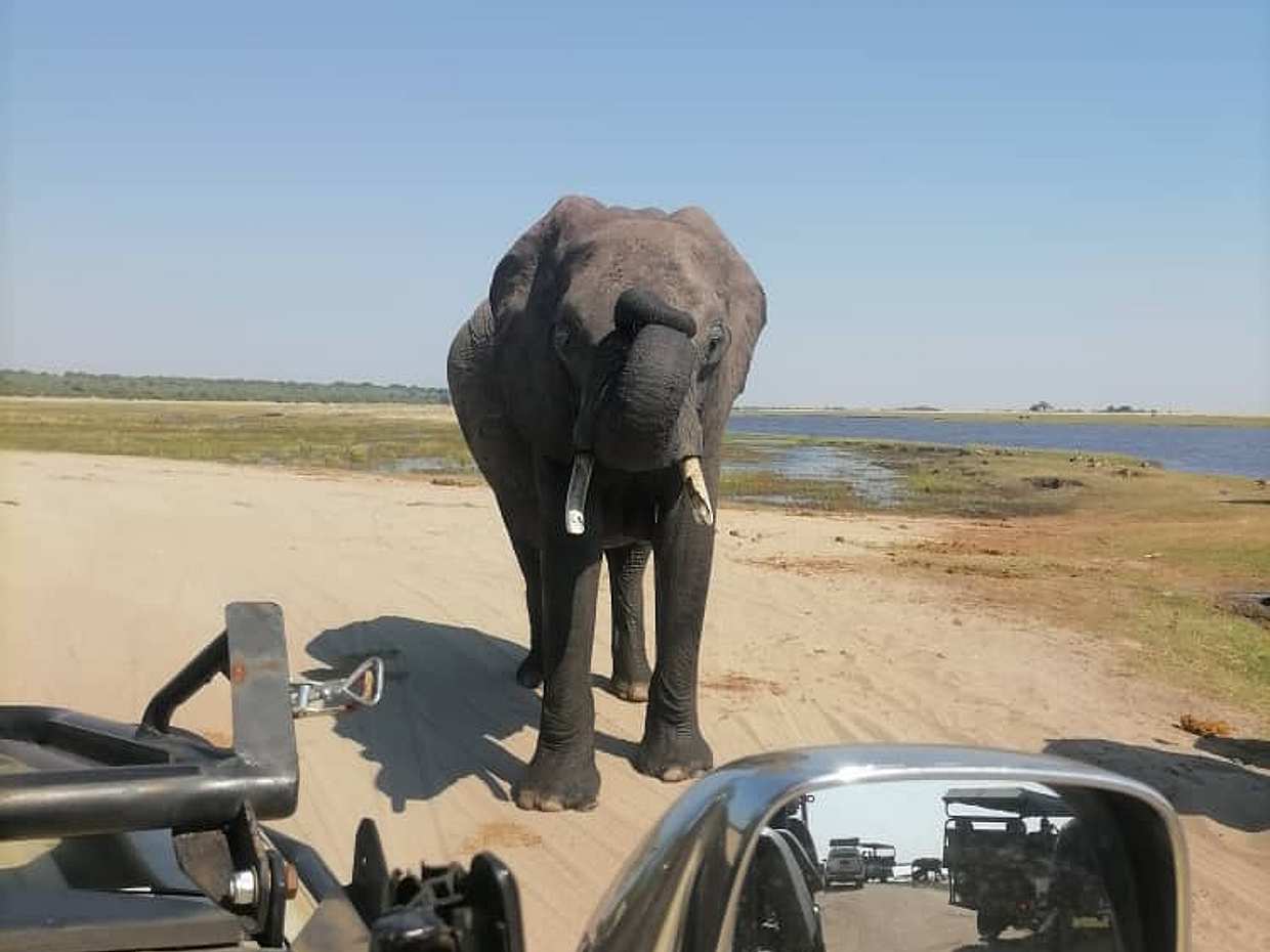 Halbtagesausflug nach Chobe in Sambia, Livingstone., photo 2