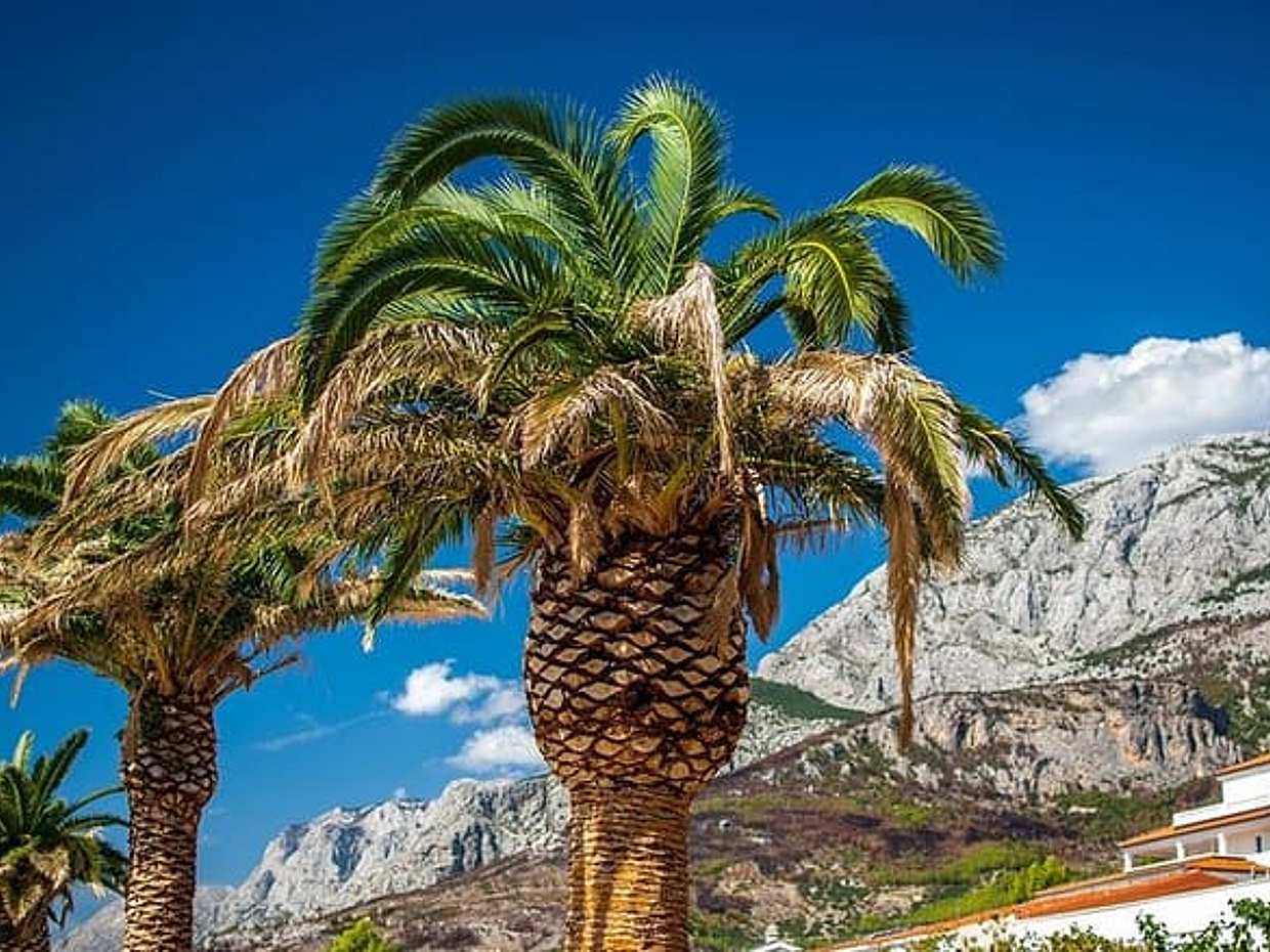 Private Transfer from Split to Makarska, Hotel-to-hotel, English-speaking driver, photo 2