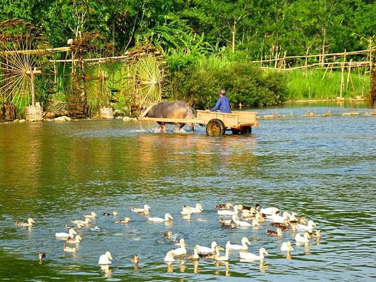 Pu Luong 3 Days Tour from Hanoi : Waterfall, Cave & Water Wheels, photo 5