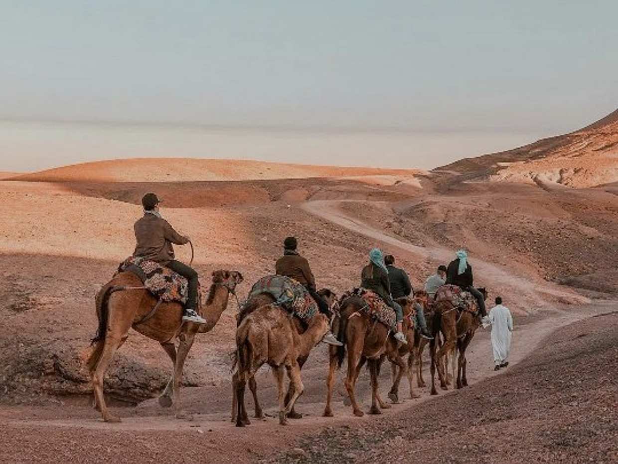 Marrakech Atlas Mountains and Desert Agafay Camel Ride Day Trip in Morocco, Marrakesh, photo 4