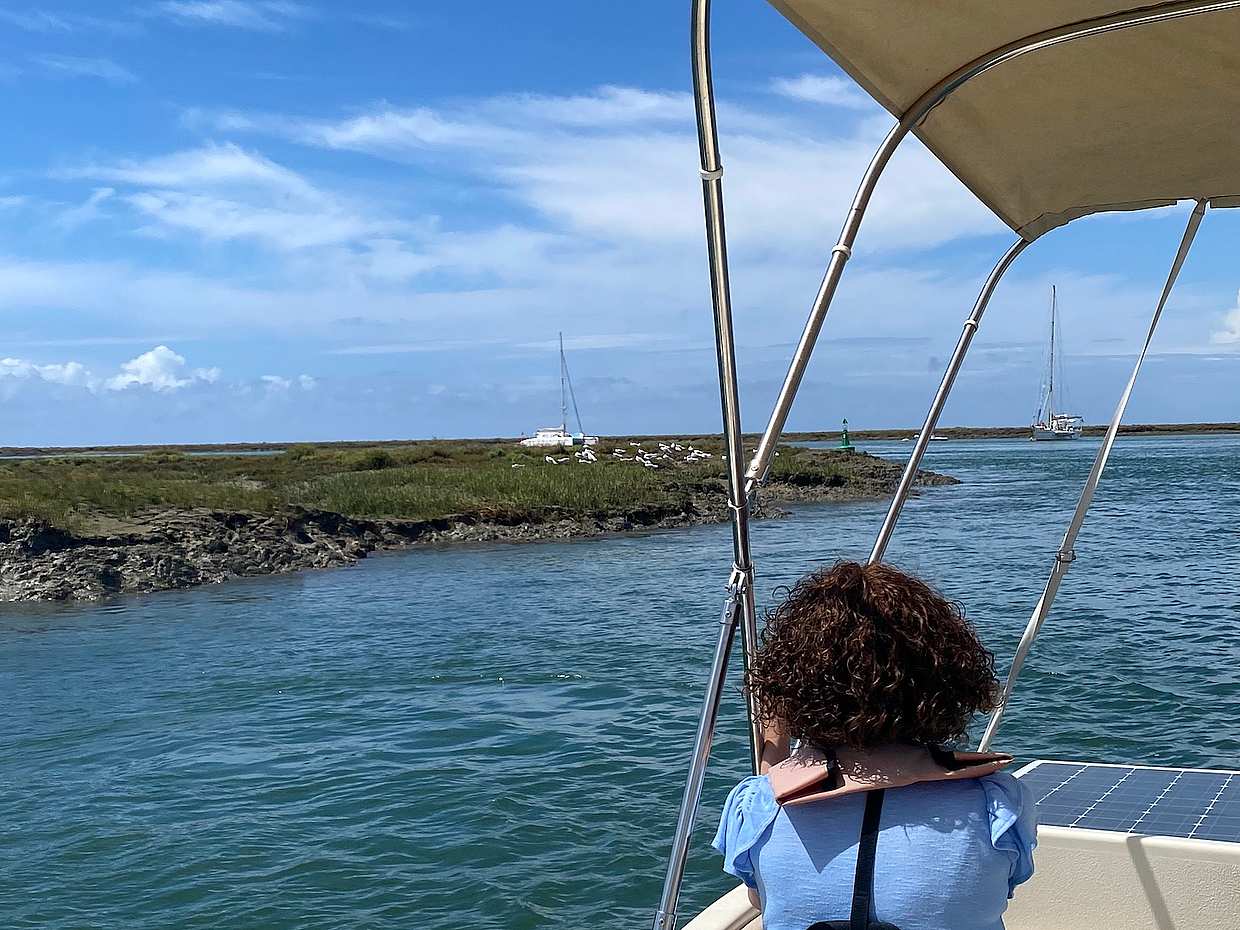 Keşfedin: Faro'nun Güzelliği: 1 Saatlik Ria Formosa Eko Turu – Portekiz'deki Bir Doğa Parkında Güneş Enerjili Huzur
, photo 2