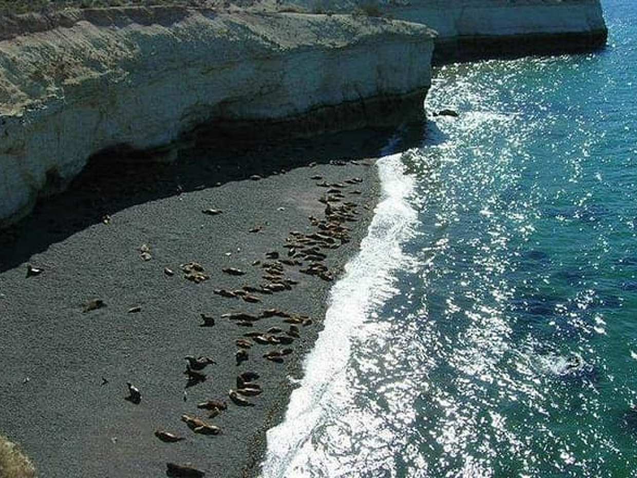 City Tour and Sea Lions at Punta Loma from Puerto Madryn, photo 3