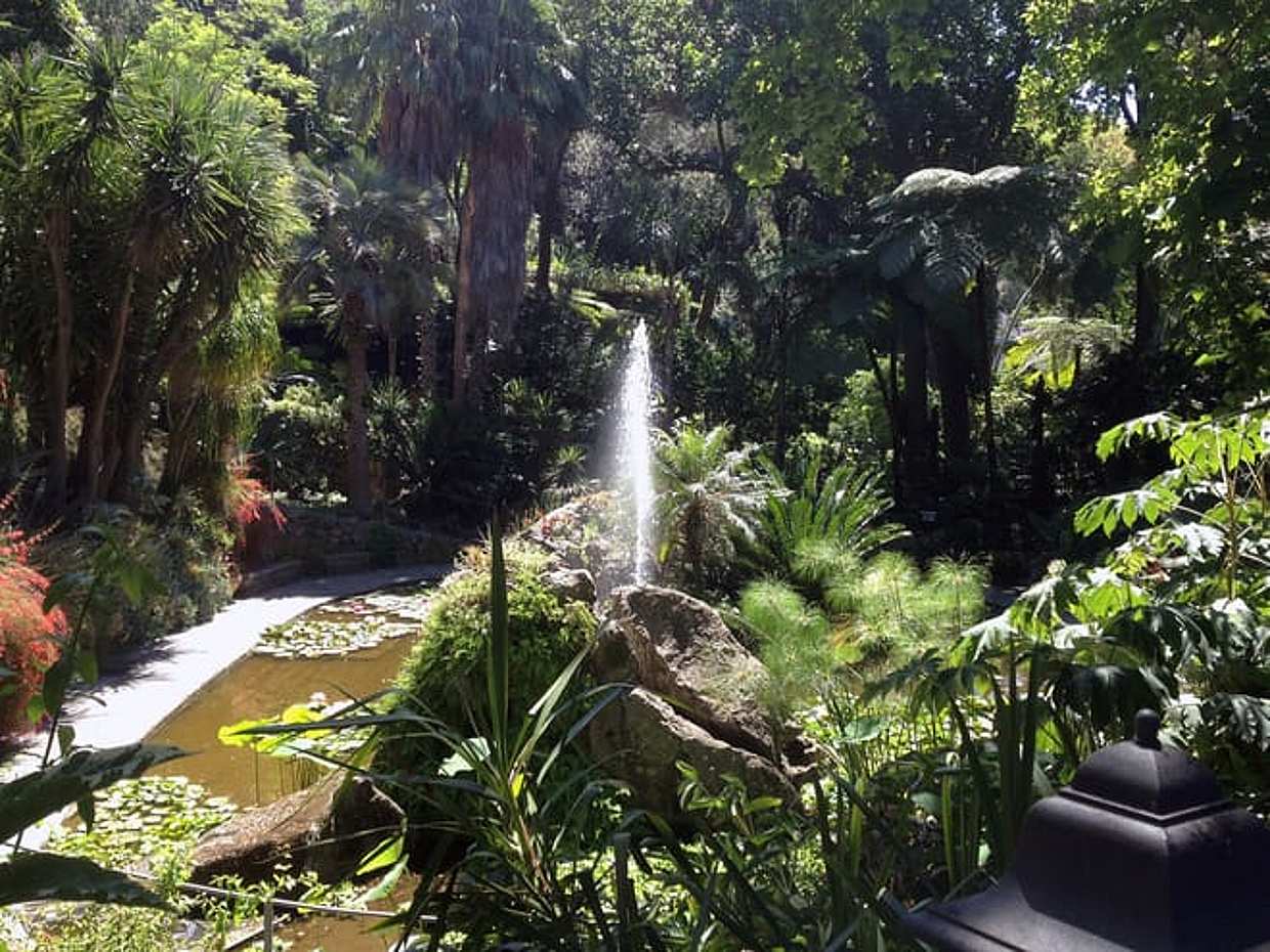 2-Day Private Ischia Wellness Escape: Pure Relaxation & Thermal Bliss, photo 3