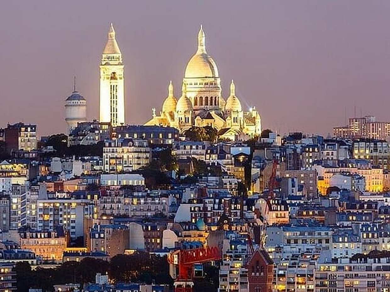 Private illumination Tour in Paris with Indian Dinner hotel Pickup in France, photo 4