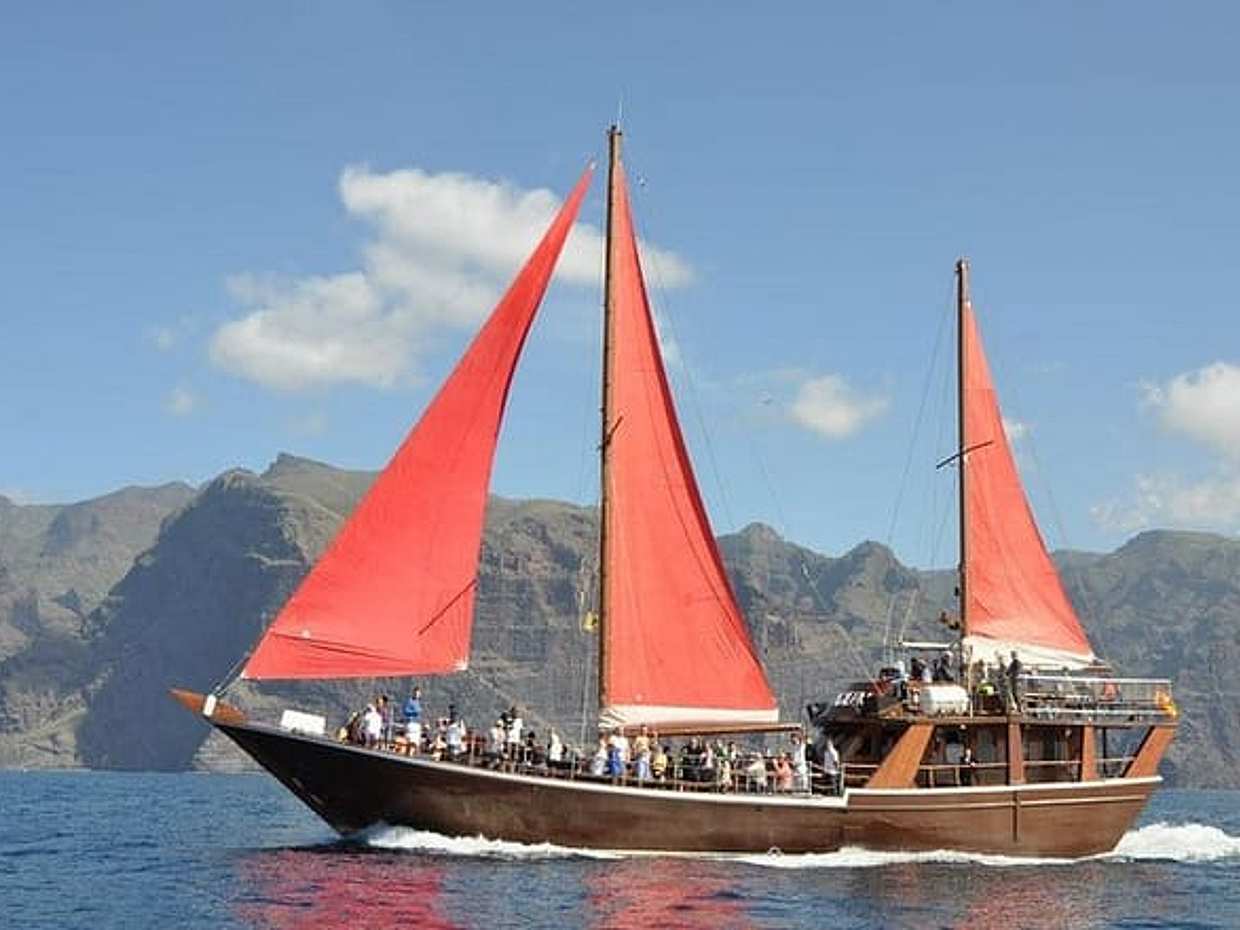 Whale & Dolphin Watching Experience + Los Gigantes And Masca, photo 2