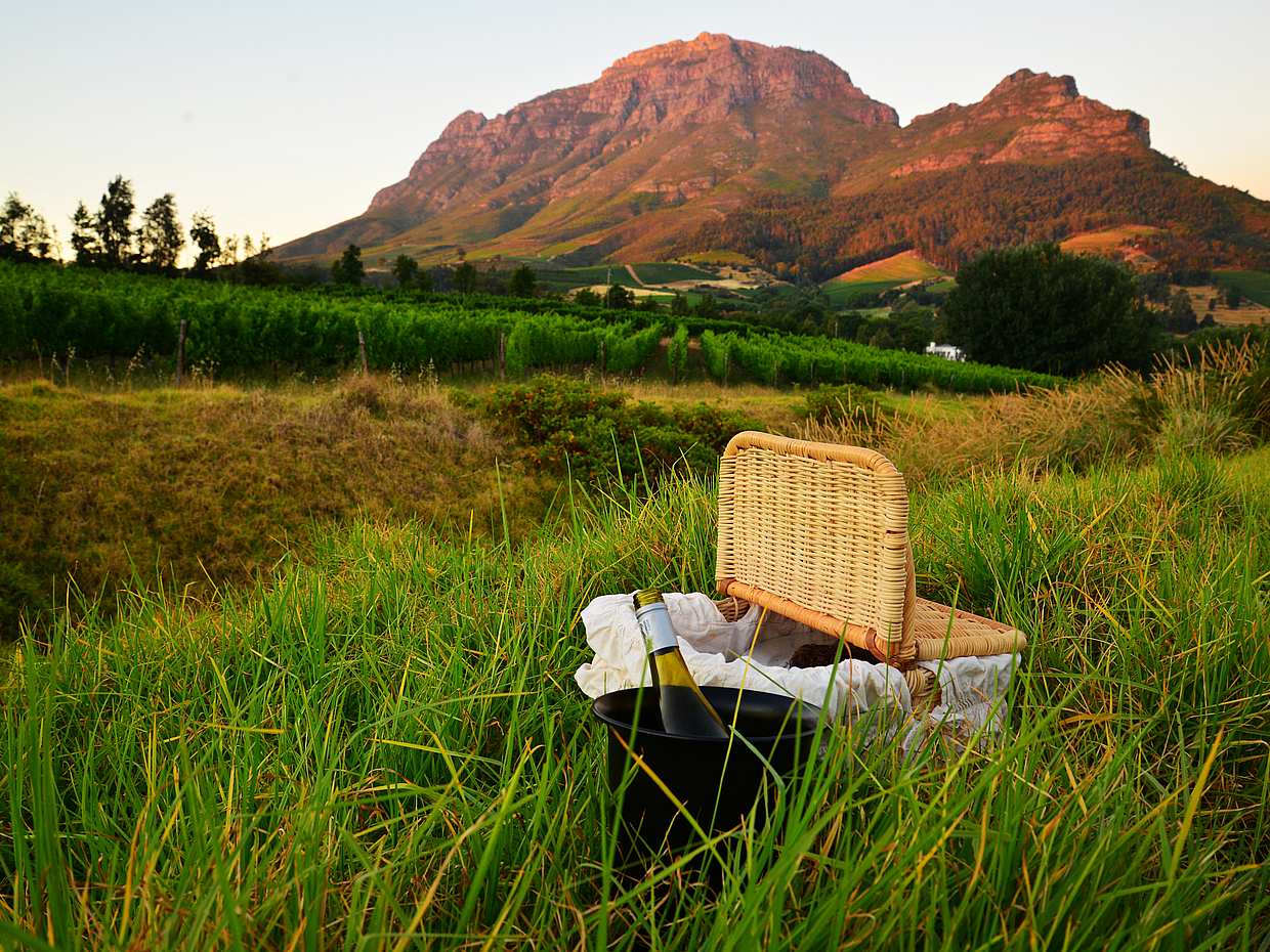 Cape Town Based Private Full-Day Winelands Tour to Paarl in South Africa, photo 2