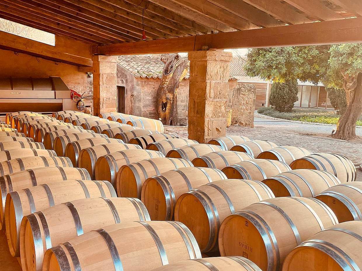 Wine Tasting Private Trip