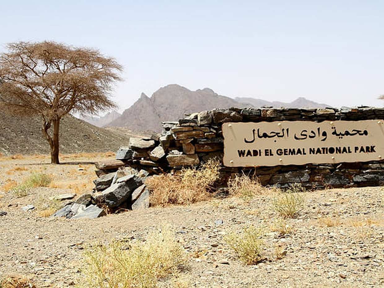 Safari Day Tour To Wadi El Gamal National Park From Marsa Alam, photo 4