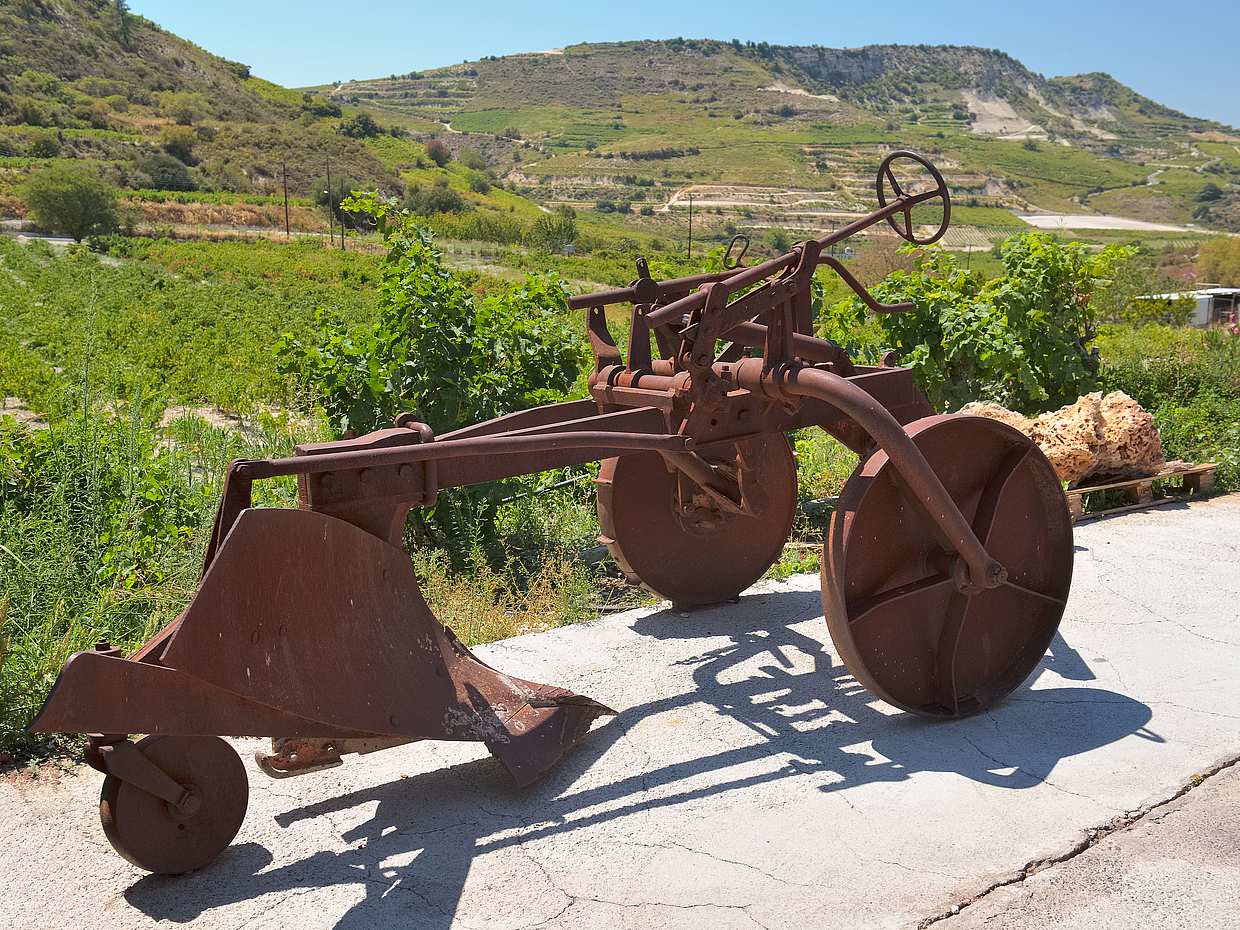 Dia inteiro de Limassol, Omodos Village e Winery Tour, photo 3