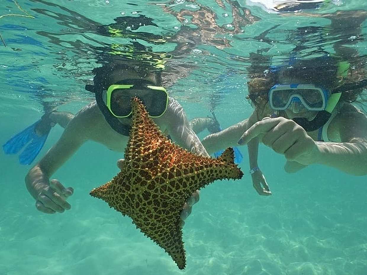 Saona Island Tour in Dominican Republic, Punta Cana, photo 5