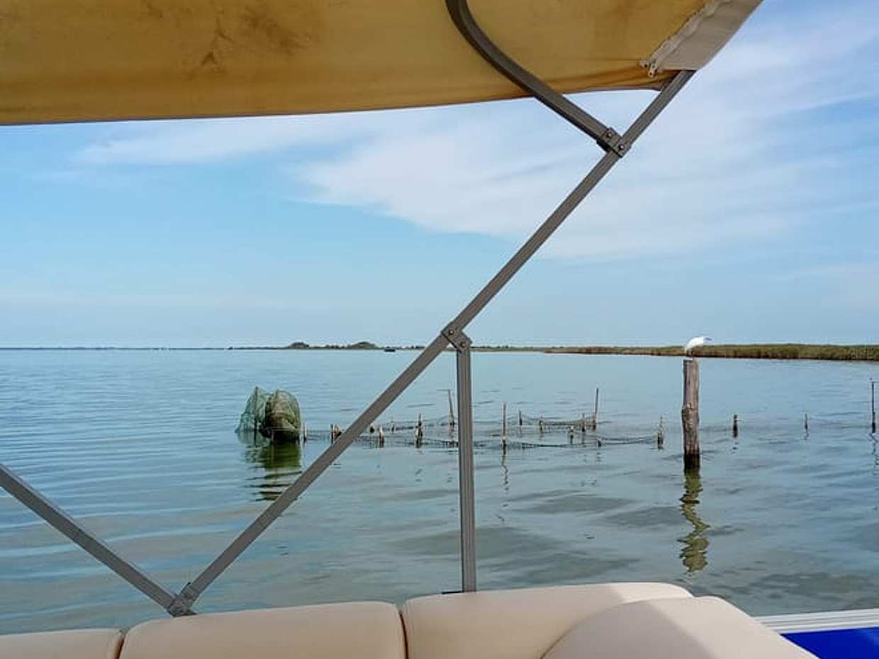 Po Delta Boat Tour: Explore Isola dell’Amore & Nature, photo 3