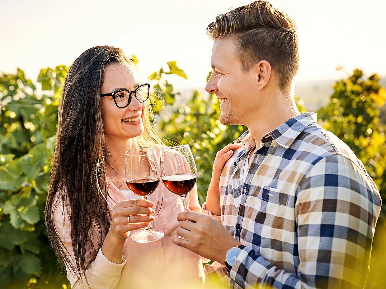 Cape Town Based Private Full-Day Winelands Tour to Paarl in South Africa