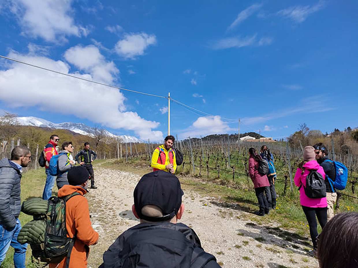 Tasting of Organic Mountains Wines with Vineyard and Cellar Tour, photo 2