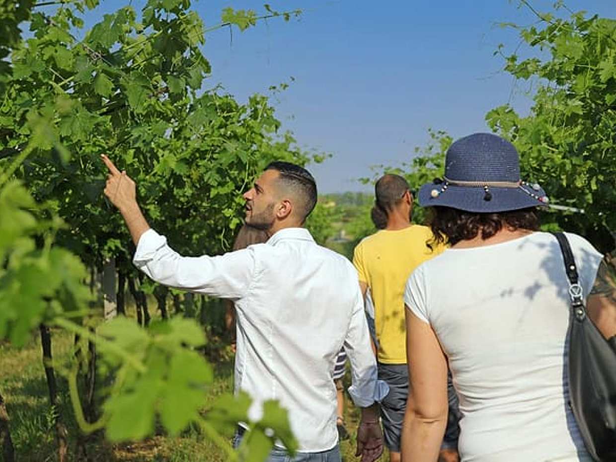 Biodynamic Farm and Natural Wines Tasting