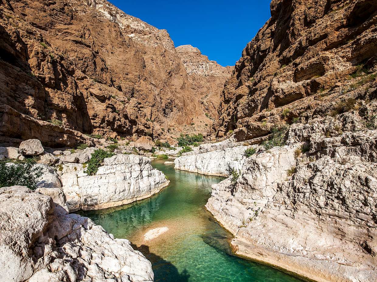 Coastal Wonders: Wadis and Spectacular Views Tour in Oman, Muscat
