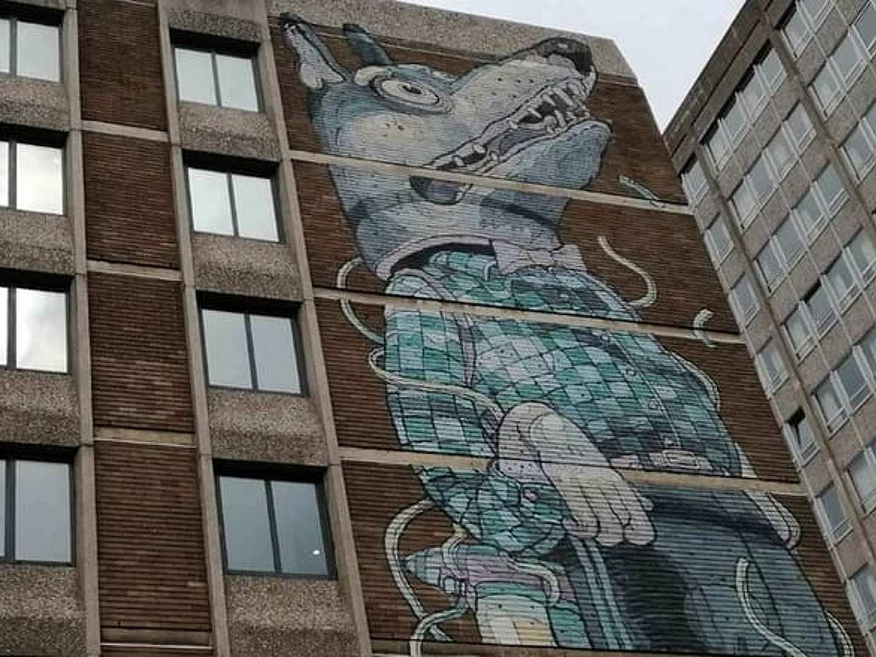 Bristol Street Art: Banksy & Graffiti Puzzle Adventure in United Kingdom, Bath, photo 5