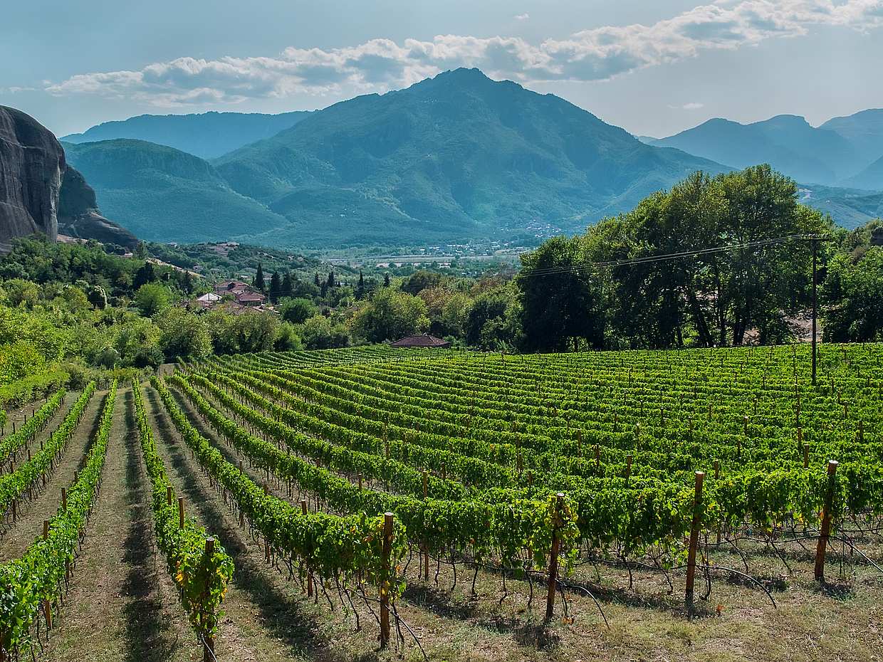 Wine Roads Private Day Tour: Corinth, Ancient Nemea and Optional  Winery Visit in Athens, Greece