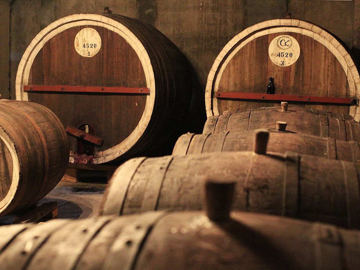 Individual tour: Khor Virap, Noravank, Areni Cave and wine tasting tour in Armenia, Yerevan
, photo 3