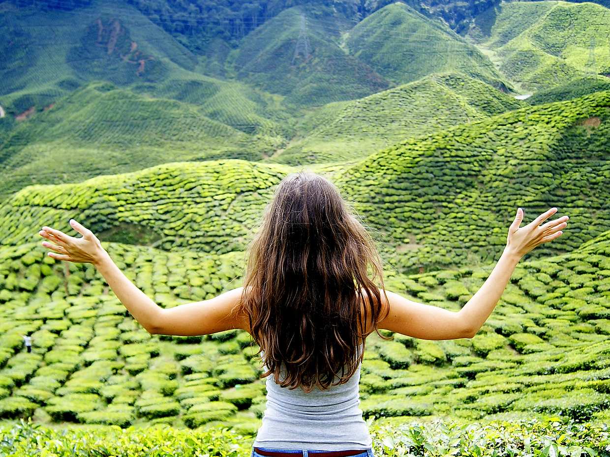 Best of Instagrammable Bali Highlights Tour, Indonesia, photo 4